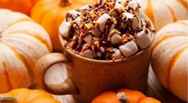 SONBAHARA ÖZEL İÇİMİZİ ISITACAK 10 ÇİKOLATALI VE KAKAOLU İÇECEK TARİFİ